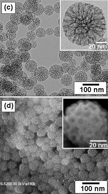 Mesoporous silica - Wikipedia