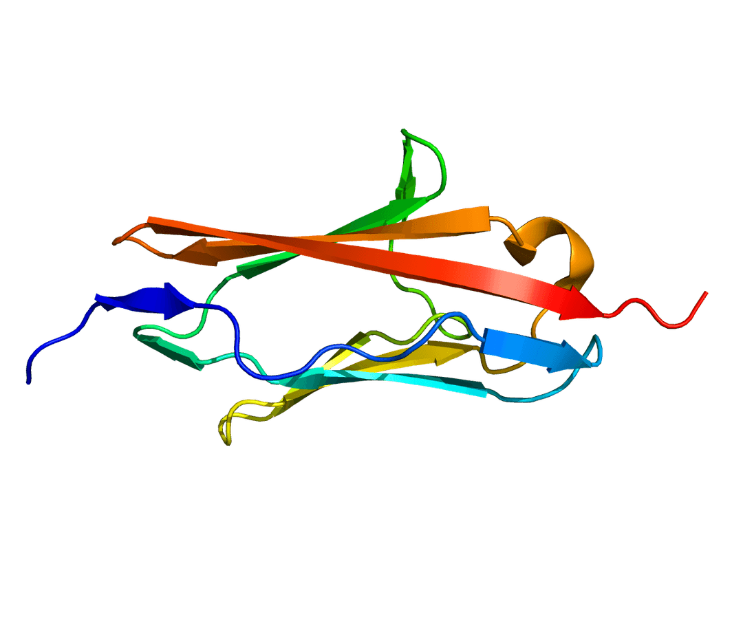 Limb–girdle muscular dystrophy - Wikipedia