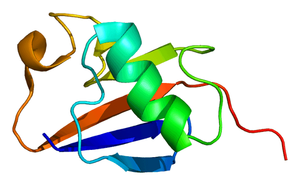 Parkin (protein) - Wikipedia