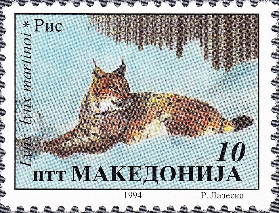 Lynx des Balkans — Wikipédia