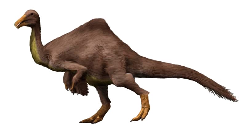 Deinocheirus — Wikipédia