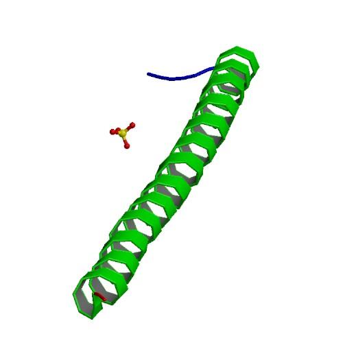 Adenomatous polyposis coli - Wikipedia