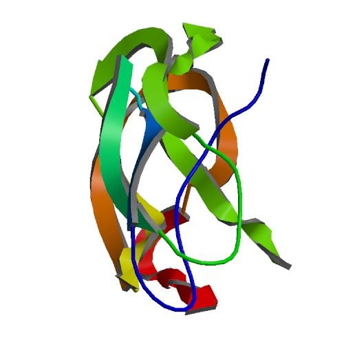 Protéine précurseur de l'amyloïde — Wikipédia