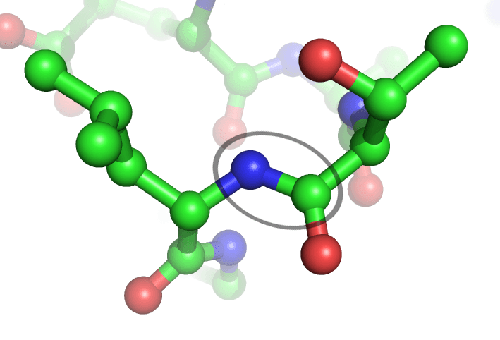 Peptide bond - Wikipedia