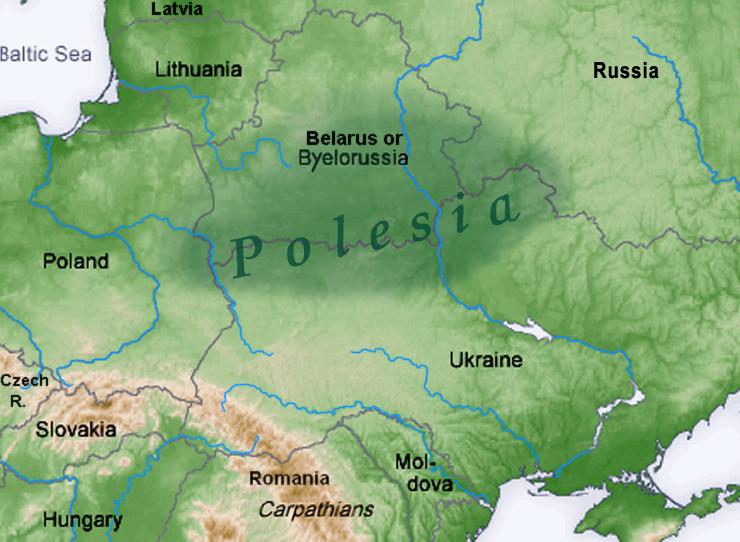 Polésie — Wikipédia