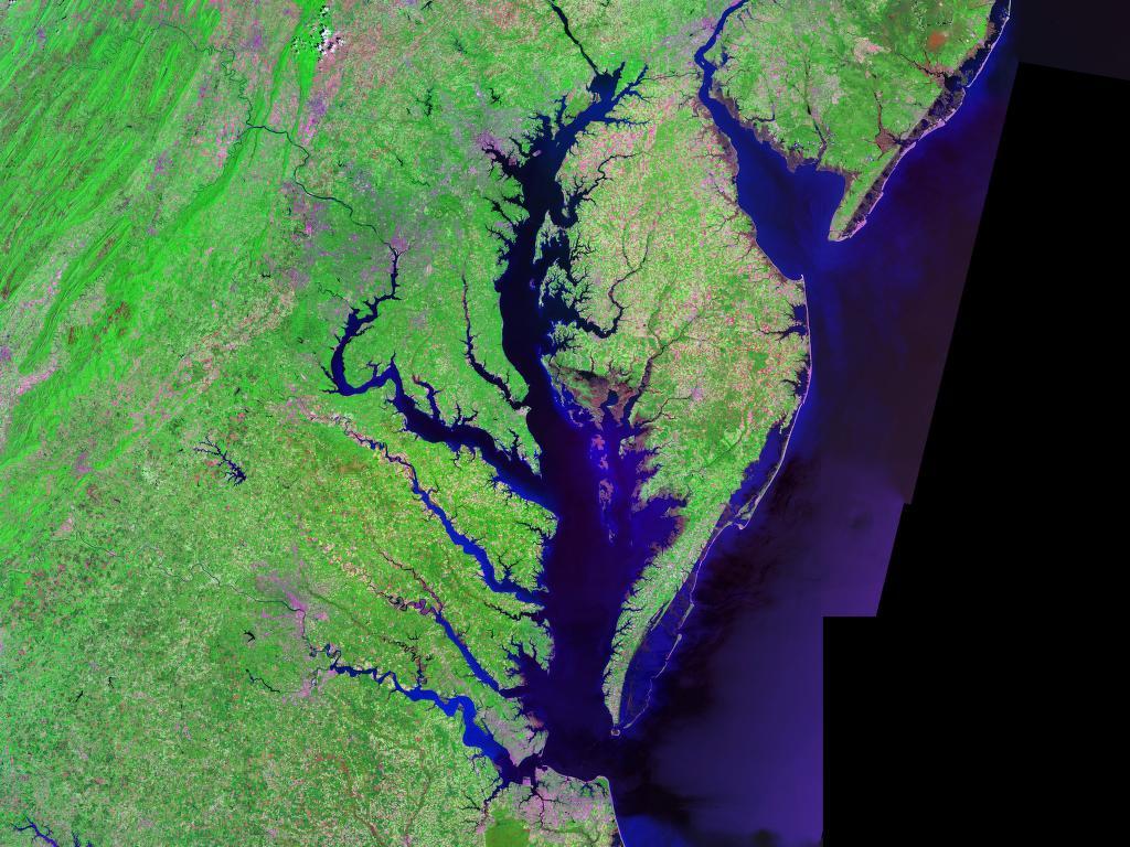 Chesapeake Bay - Wikipedia