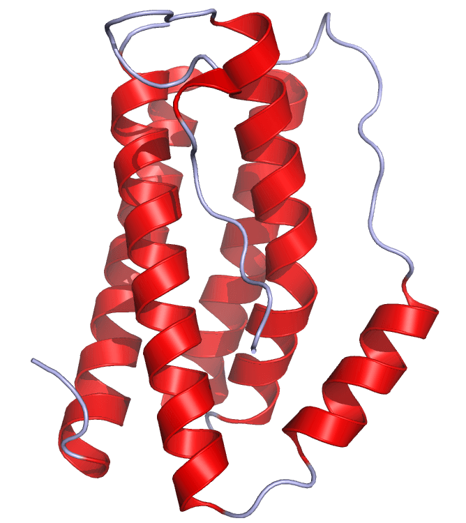 Interleukine 6 — Wikipédia