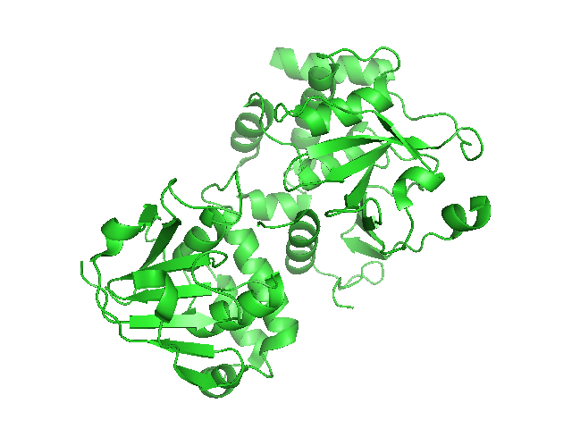 ARN polymérase ARN-dépendante — Wikipédia