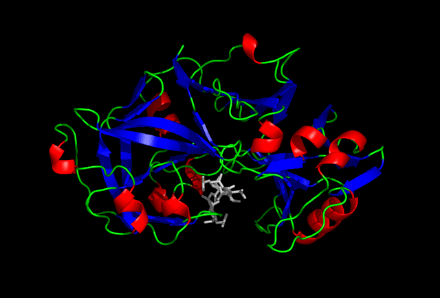 Pepsin - Wikipedia