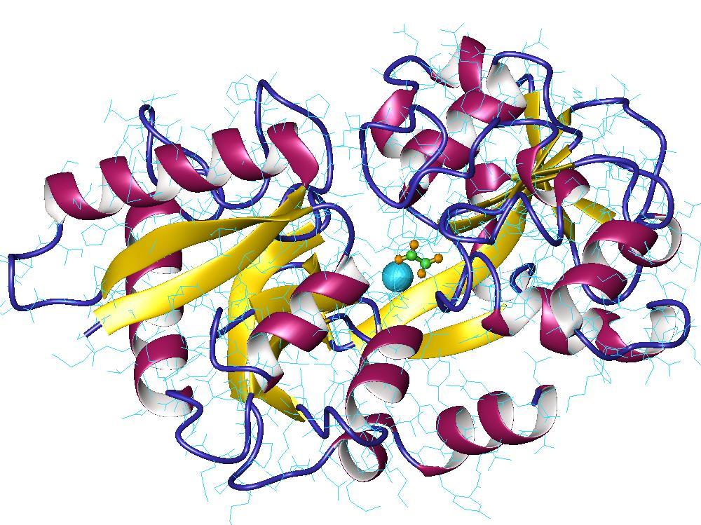 Transferrine — Wikipédia