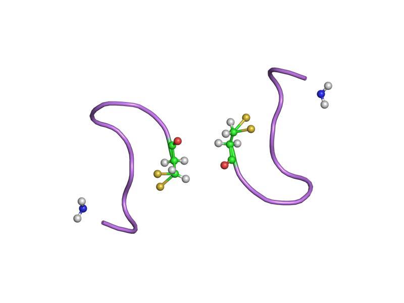 Neurohypophysial hormone - Wikipedia