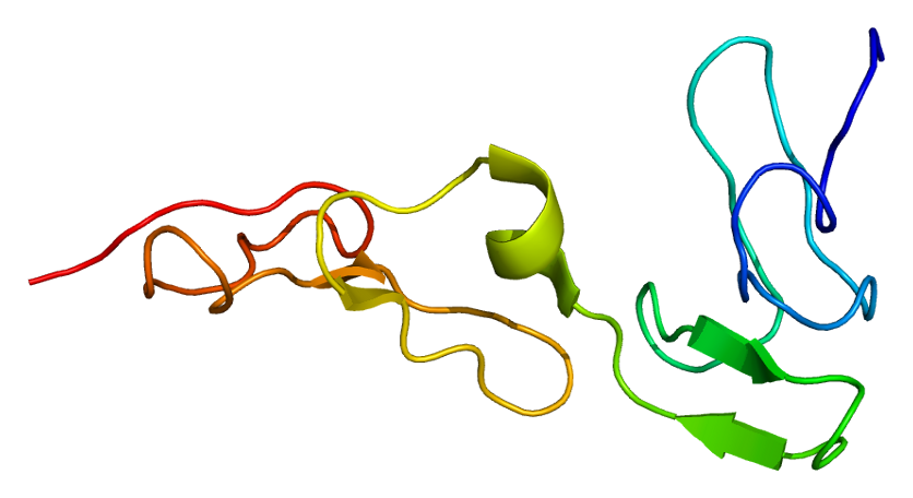 Protein S deficiency - Wikipedia