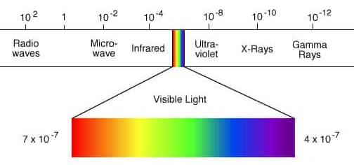 Photosynthetic pigment - Wikipedia