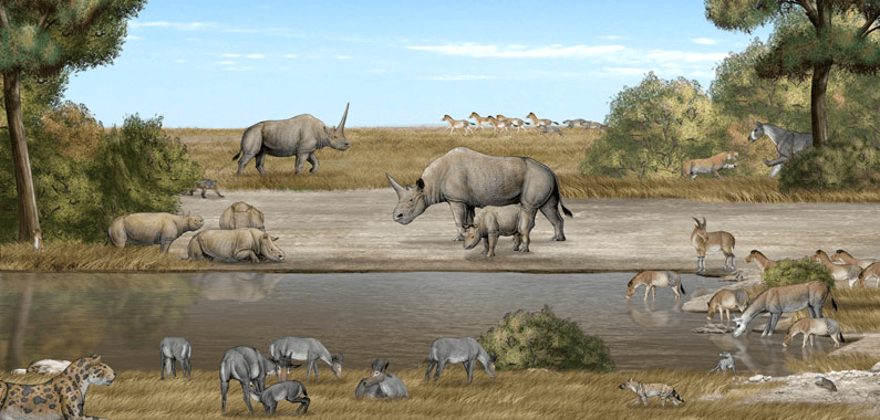 Liushu Formation - Wikipedia