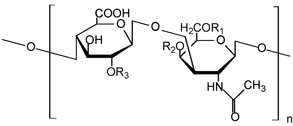 Glycosaminoglycan - Wikipedia