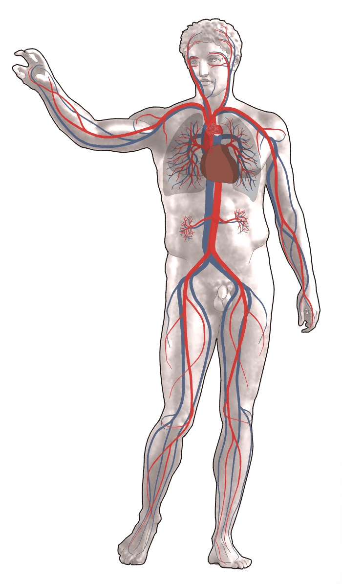 Oxygen saturation (medicine) - Wikipedia