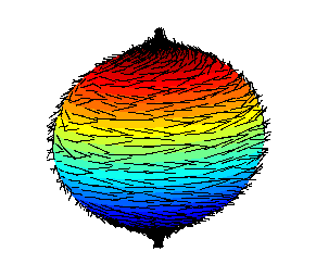 Théorème de la boule chevelue — Wikipédia