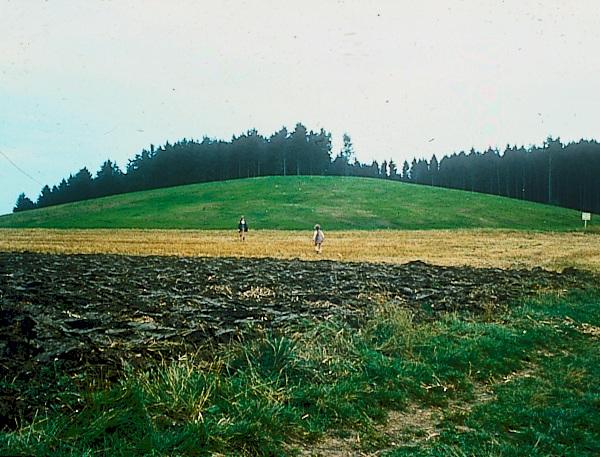 Magdalenenberg — Wikipédia