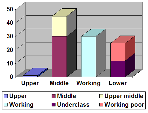 Professional–managerial class - Wikipedia