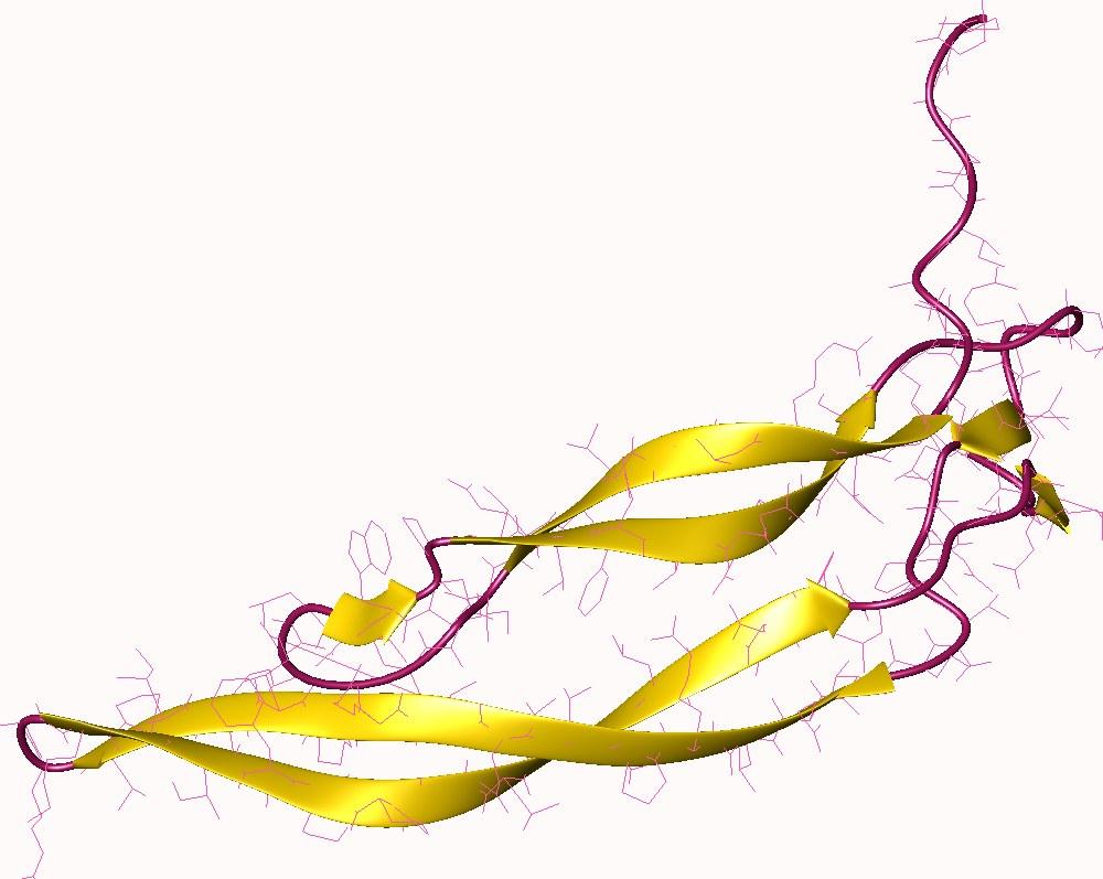 Platelet-derived growth factor - Wikipedia