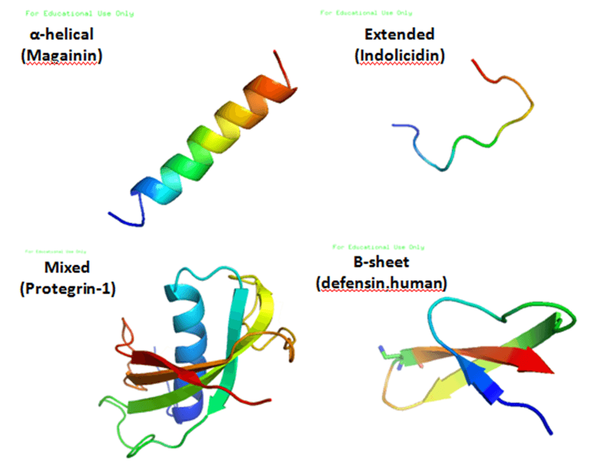 Antimicrobial peptides - Wikipedia