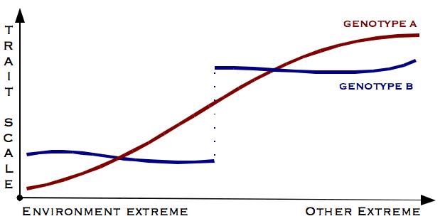 Canalisation (genetics) - Wikipedia