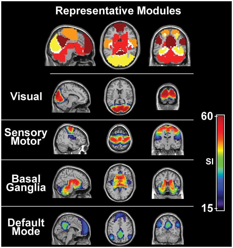 Sensory nervous system - Wikipedia