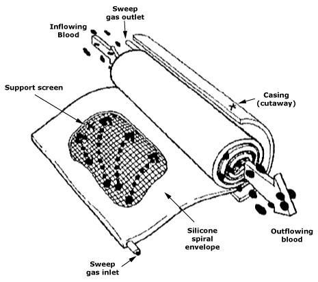 Oxygenator - Wikipedia