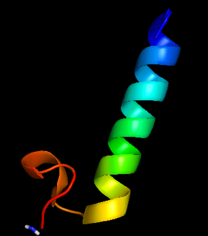 Procalcitonine — Wikipédia