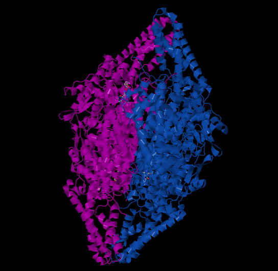 Phenylalanine ammonia-lyase - Wikipedia