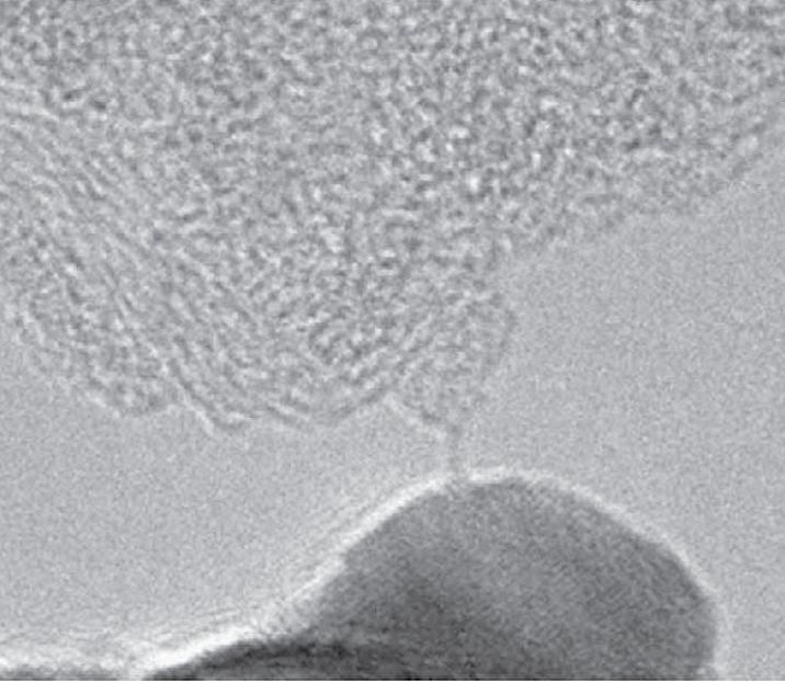 Linear acetylenic carbon - Wikipedia