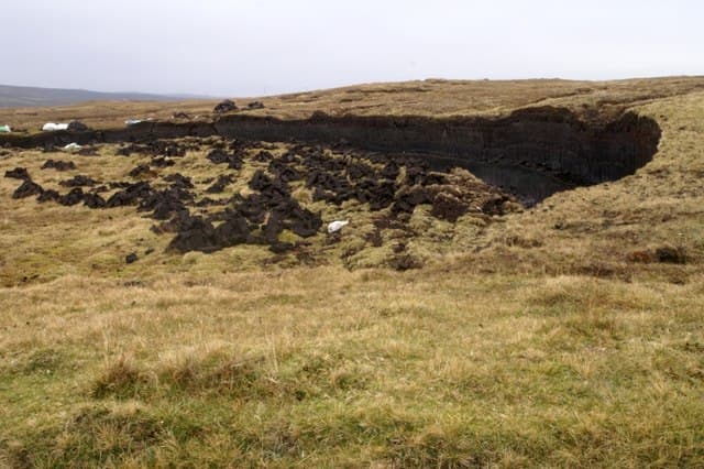 Blanket bog - Wikipedia