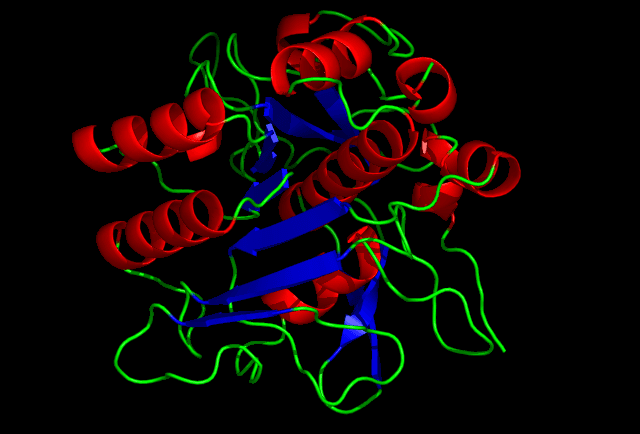 Subtilisine — Wikipédia