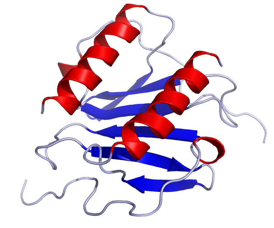 Chemokine - Wikipedia