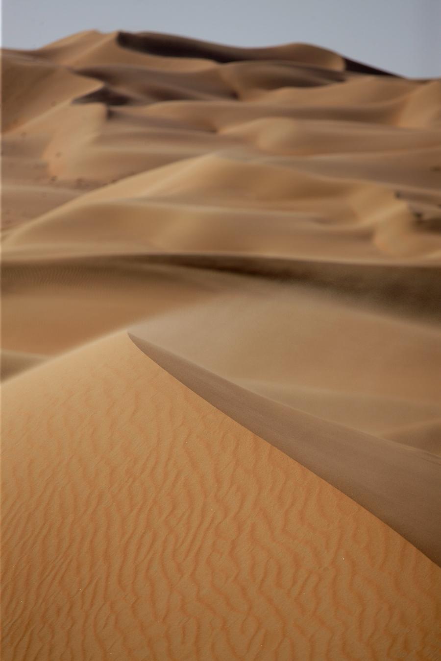 Patterns in nature - Wikipedia