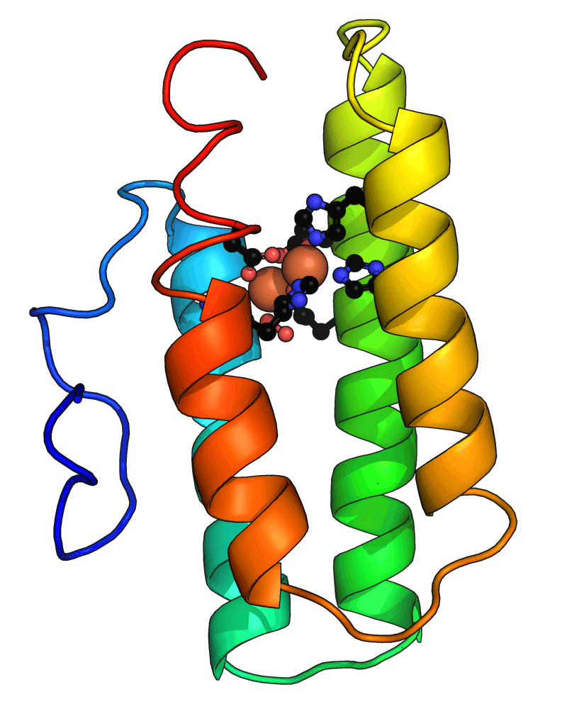 Hemerythrin - Wikipedia