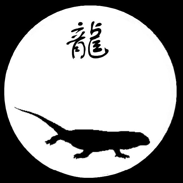 Dragon (astrologie chinoise) — Wikipédia