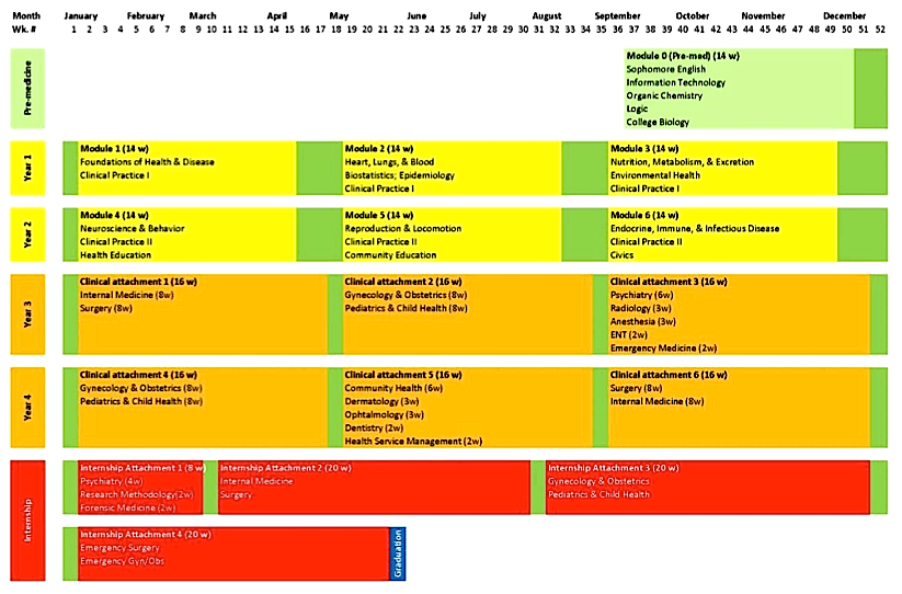 Curriculum - Wikipedia