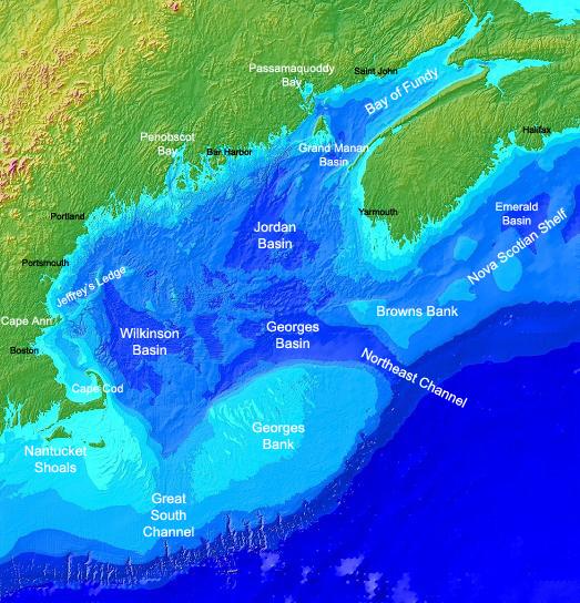 Golfe du Maine — Wikipédia