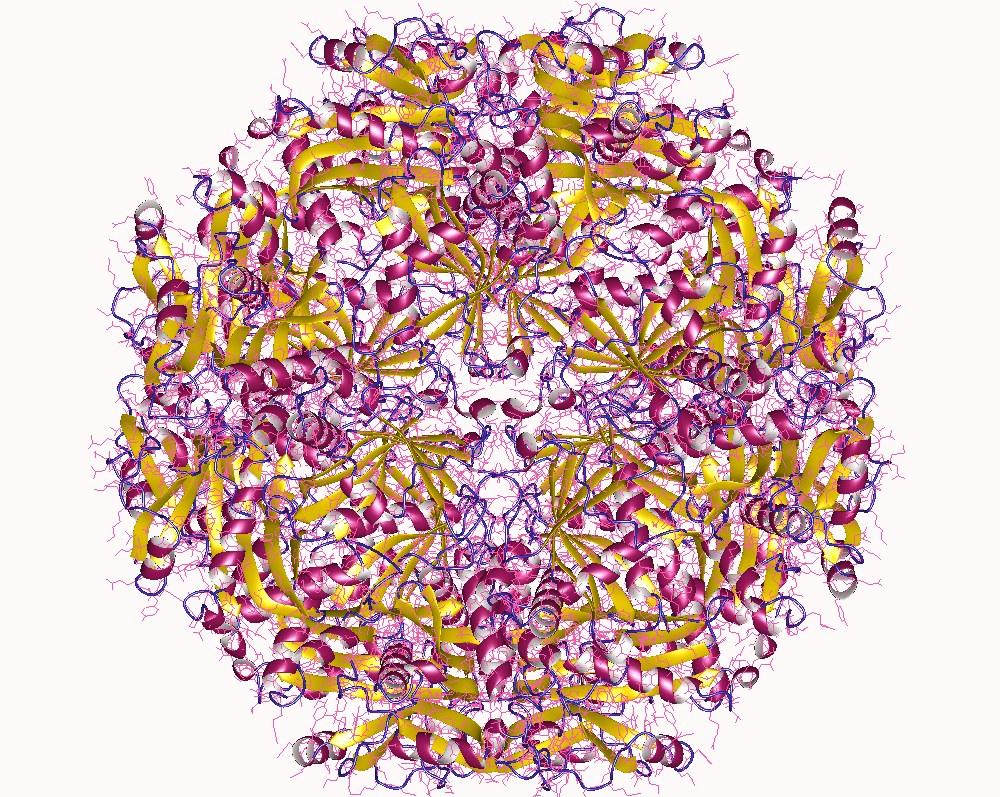 Histone acetyltransferase - Wikipedia