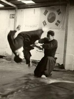 Hapkido - Wikipedia