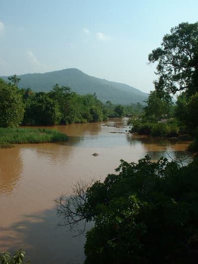 Wang Thong — Wikipédia