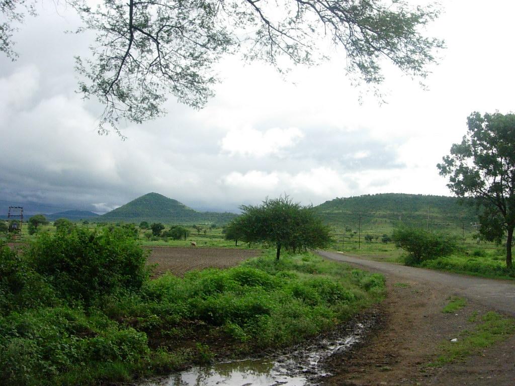 Malva (Inde) — Wikipédia