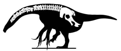 Nanshiungosaurus - Wikipedia