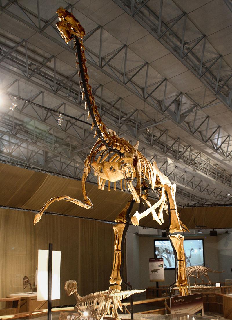 Gigantoraptor - Wikipedia