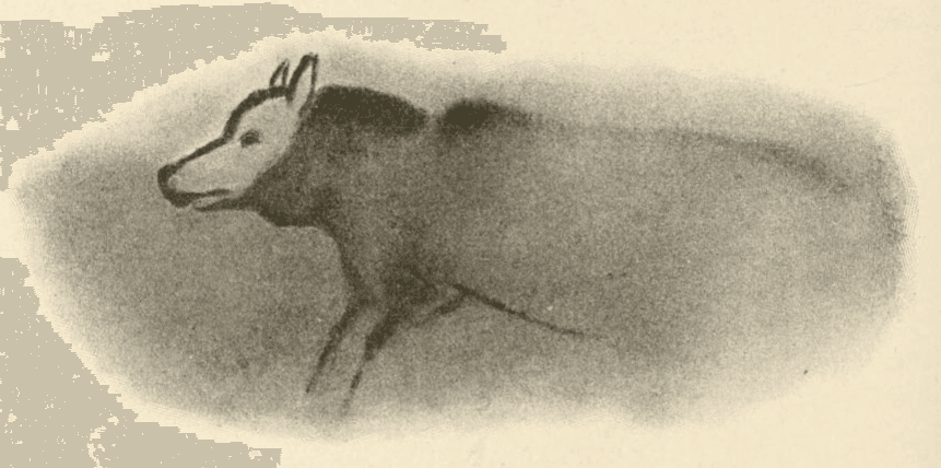 Paleolithic dog - Wikipedia