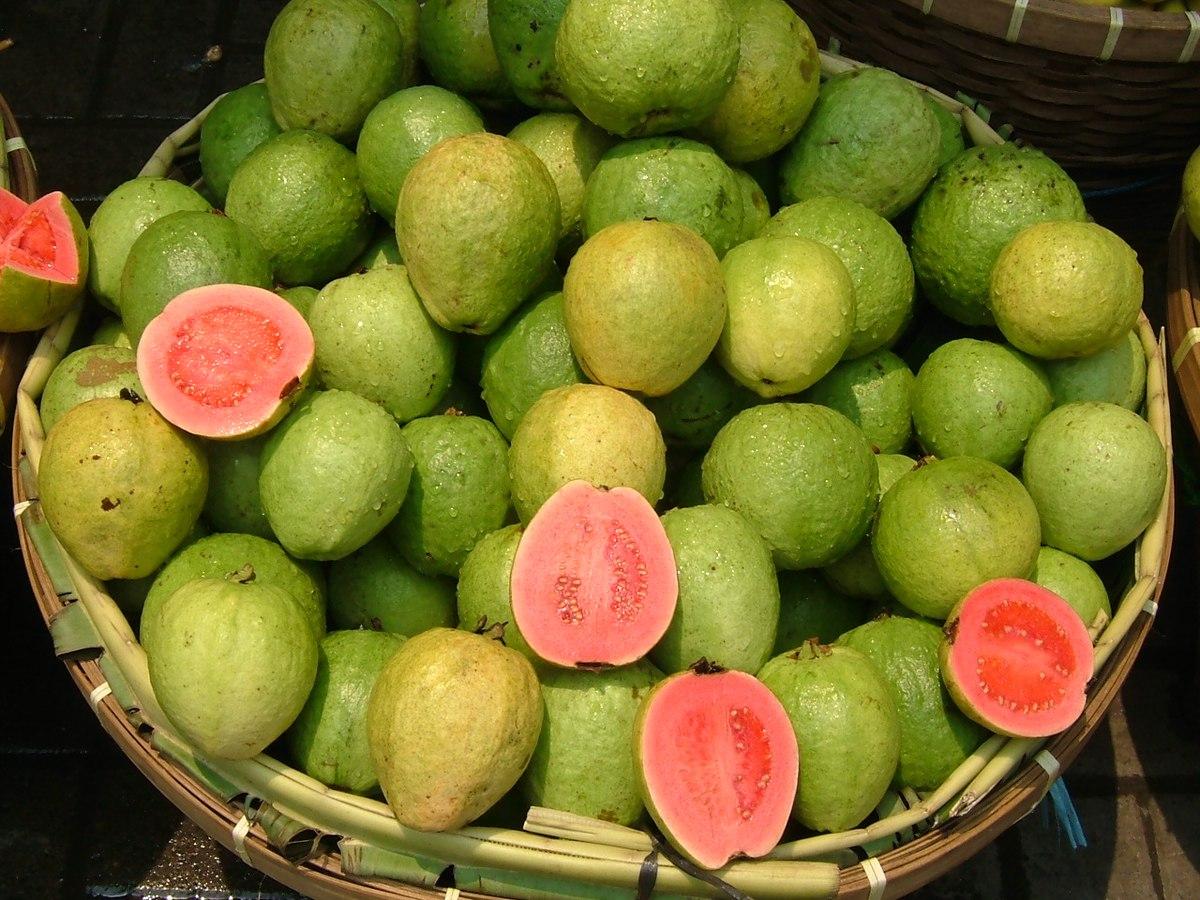 Guava - Wikipedia