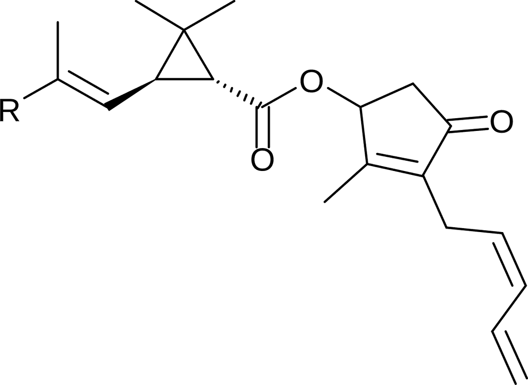 Cyclopropanation - Wikipedia