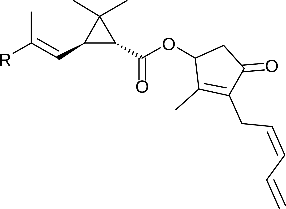 Cyclopropanation - Wikipedia