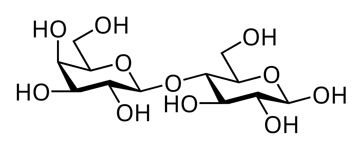 Carbohydrate - Wikipedia